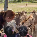 Silis Agroturismo