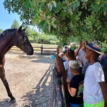 Silis Çiftlik konaklama Sennori