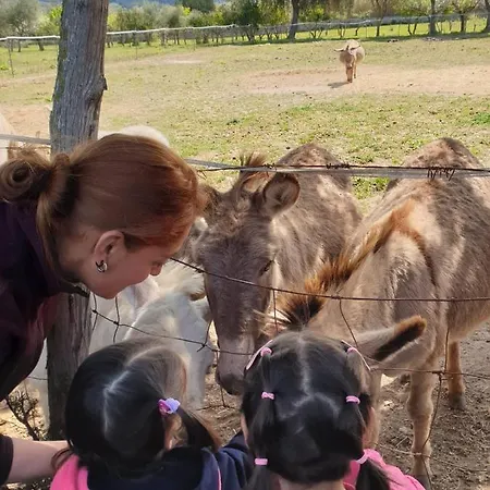 Silis Çiftlik konaklama