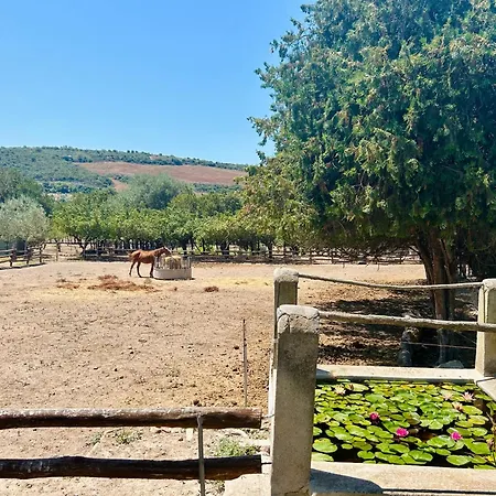 Çiftlik konaklama Silis