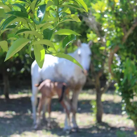 Agriturismo Silis